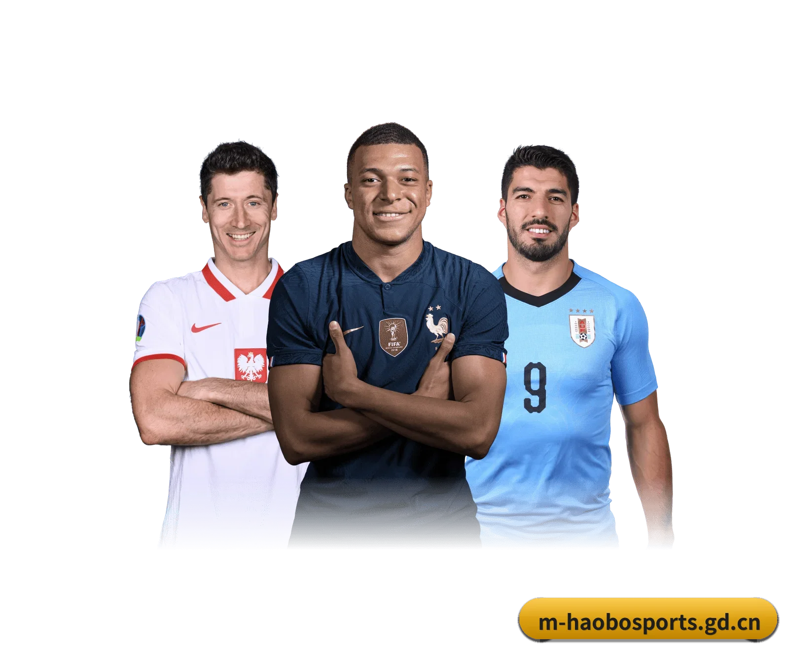 好博移动版 APP - haobosports